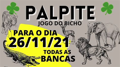 palpite do bicho para hoje